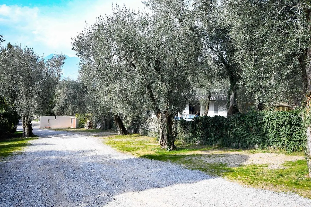 Residence Kormorano Malcesine Apt 52 Italy